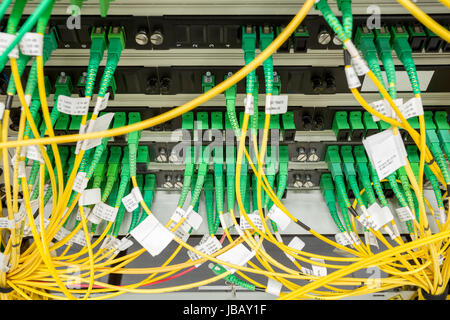 fiber optic data center with media converters and optical cables Stock Photo