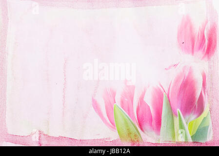 Red tulips over grunge painted background Stock Photo