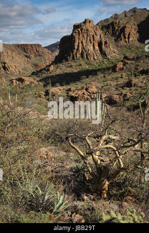 Rugged country that the old El Camino Real passed through near Santa Marta, Baja California Sur, Mexico in the 18th Century. Stock Photo