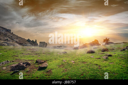 Stony rocks on a meadow at sunrise Stock Photo