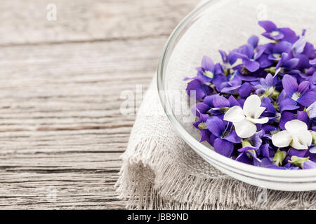 Foraged edible purple and white violet flowers in bowl on wood background with copy space Stock Photo