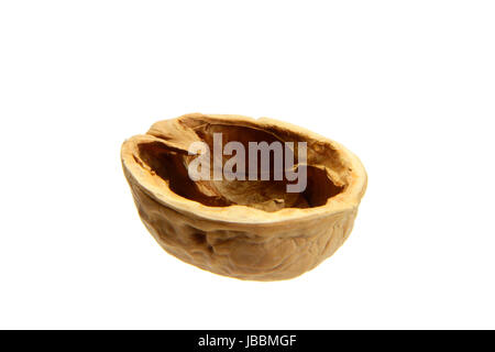 one shell of walnut isolated on the white background Stock Photo