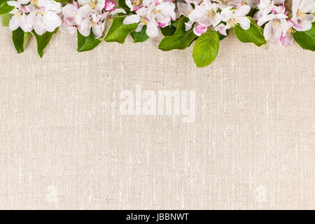 Natural linen background with spring apple blossom flowers Stock Photo