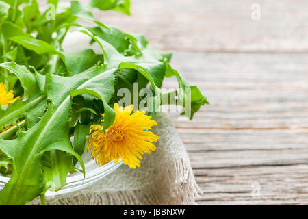 Foraged edible dandelion flowers and greens in bowl on rustic wood background with copy space Stock Photo
