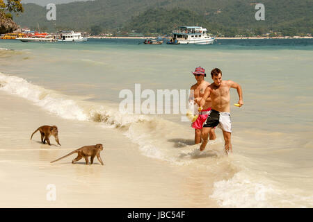 Tourists feeding crab-eating macaques at the beach on Phi Phi Don Island, Krabi Province, Thailand. Koh Phi Phi Don is part of a marine national park. Stock Photo