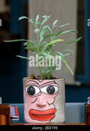 A plant in a beautiful folk art flower pot at an outdoor restaurant on Bowery in the East Village section of lower Manhattan, New York City. Stock Photo