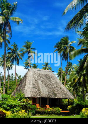 Traditional house with thatched roof on Vanua Levu Island, Fiji. Vanua Levu is the second largest island of Fiji. Stock Photo