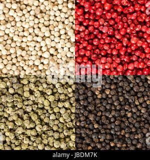 Four variations of peppercorns in a square. Black, white, green and pink pepper. Dried berries of Piper nigrum and Schinus terebinthifolia. Stock Photo