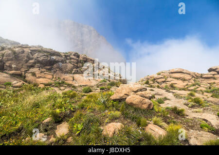 Above the clouds on Sentinel Hike, Drakensberge in South Africa Stock Photo