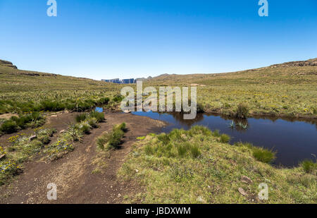 Plateau at Sentinel Hike in the Drakensberge region, South Africa Stock Photo