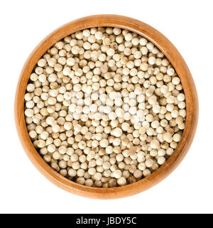 White pepper in wooden bowl. Dried berries of Piper nigrum, called peppercorns. Seed of pepper plant without darker-coloured skin. Spice. Stock Photo