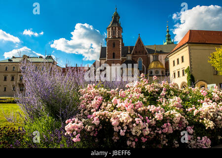 Wawel cathedral in Krakow, Poland Stock Photo