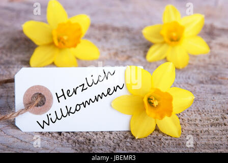 Label with the German Words Herzlich Willkommen which means Welcome and Narcissus Blossoms Stock Photo