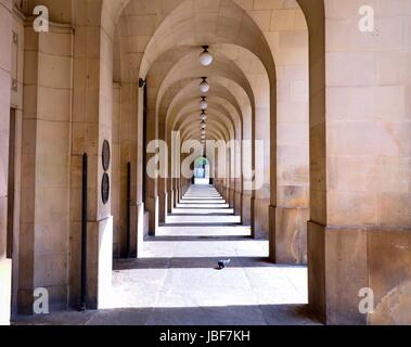 Pigeon in the arcade. Stock Photo