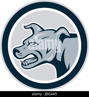Illustration of an angry barking mastiff dog mongrel viewed from side set inside circle on white background done in cartoon style. Stock Photo