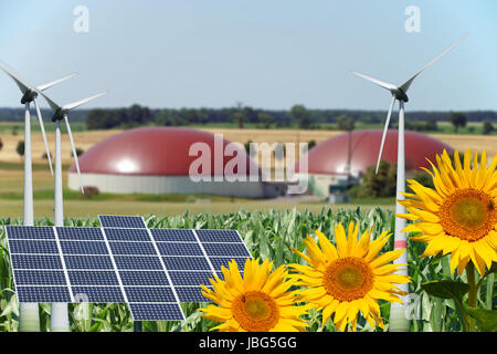 Biogas facility with sunflowers and wind turbine with solar panel Stock Photo