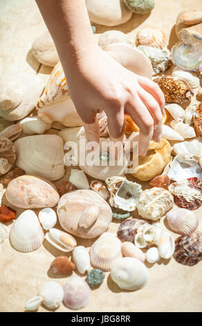 Closeup shot of hand picking black pearl from sea bottom Stock Photo