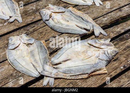 Fish drying in sun on dock in Caribbean town of Livingston, Guatemala Stock Photo