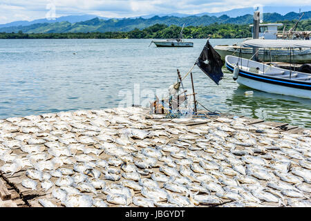 Fishing boats at anchor near fish drying in sun by river estuary of Rio Dulce in Caribbean town of Livingston, Guatemala Stock Photo
