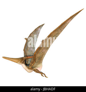 Pterodactyl Pteranodon Flying Isolated Over White Stock Illustration  14988157