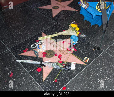 Hollywood, California, USA. 10th June, 2017.  Actor Adam West, best known for his portrayl of Batman in the 1960's series 'Batman', died Friday evening at the age of 88 years old. His star on the Hollywood Walk of Fame is decorated as fans stopped by in his memory. Credit: Sheri Determan/Alamy Live News Stock Photo