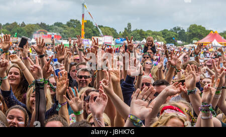 Isle of Wight, UK. 11th June, 2017. Audience at The Isle of Wight Festival 2017 Credit: James Houlbrook/Alamy Live News Stock Photo