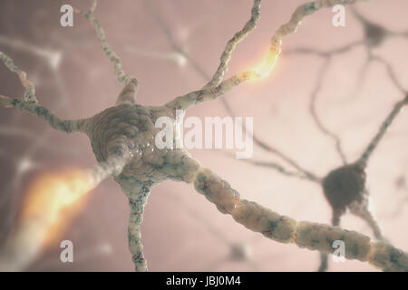 Image concept of neurons from the human brain. Stock Photo