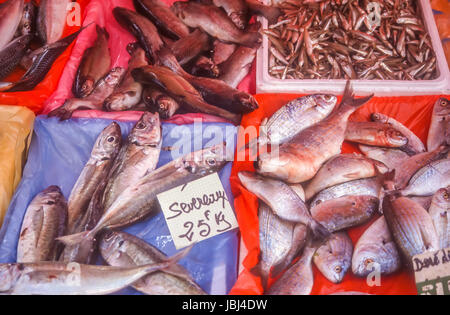 Fische auf dem Fischmarkt am Cours Saleya in Nizza, Cote Azur, Frankreich Stock Photo