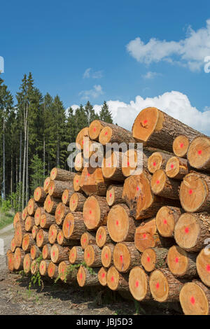 Holzwirtschaft in Deutschland Stock Photo