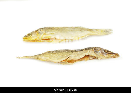 Three roach fishes isolated on the white background Stock Photo