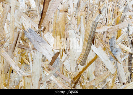 close up pressed wooden panel background, seamless texture of oriented strand board - OSB wood Stock Photo