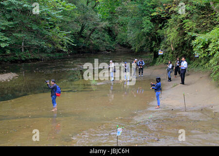 Photographers Taking Pictures of Nomizo-no-Taki Waterfalls in Kimitsu Chiba Japan Stock Photo