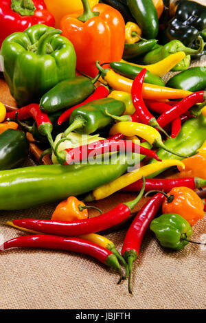 Stock image of chilli pepper still life very colorful an varied Stock Photo