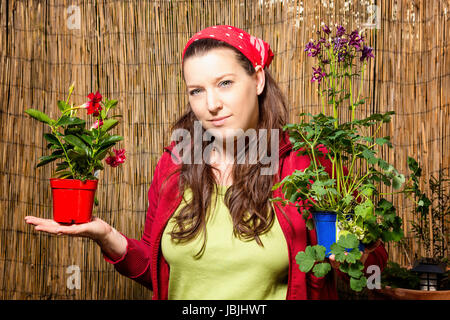 Woman in gardening holding two flower pots with different plants in front of a bamboo fence. Stock Photo