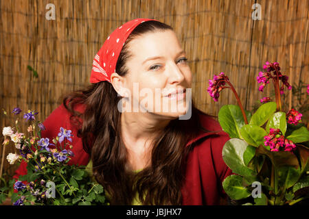 Woman with red headscarf gardening and smelling a blossom fragrance in front of a bamboo fence. Stock Photo