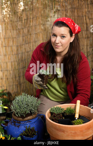 Woman gardening and poting some plants in front of a bamboo fence. Stock Photo