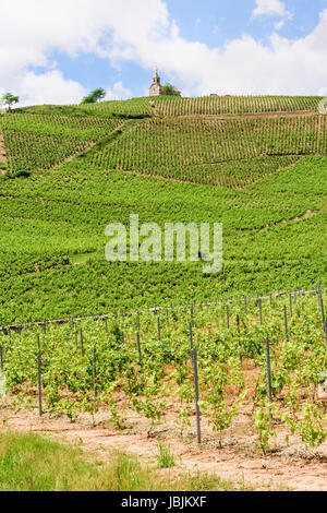 Chapelle de la Madone Fleurie- the Chapel of our Lady – above the grapevines of Cru Beaujolais wines, Fleurie, Villefranche-sur-Saône, France Stock Photo