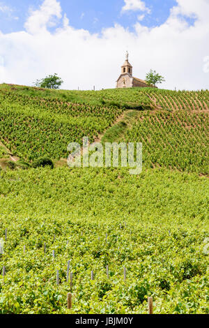 Chapelle de la Madone Fleurie- the Chapel of our Lady – above the grapevines of Cru Beaujolais wines, Fleurie, Villefranche-sur-Saône, France Stock Photo