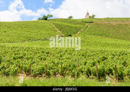 Chapelle de la Madone Fleurie- the Chapel of our Lady – above the grapevines of Cru Beaujolais wines, Fleurie, Villefranche-sur-Saône, France Stock Photo