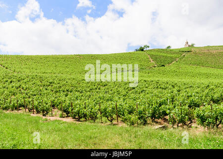 Chapelle de la Madone Fleurie- the Chapel of our Lady – above the grapevines of Cru Beaujolais wines, Fleurie, Villefranche-sur-Saône, France Stock Photo