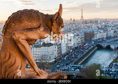 Gargoyle watching paris at sunset, France Stock Photo