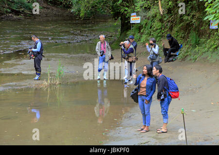 Photographers Taking Pictures of Nomizo-no-Taki Waterfalls in Kimitsu Chiba Japan Stock Photo