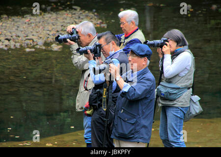 Photographers Taking Pictures of Nomizo-no-Taki Waterfalls in Kimitsu Chiba Japan Stock Photo