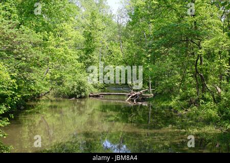 A sunny day in the park with all the nature and odds and ends of the park. Stock Photo