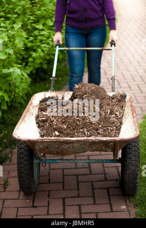 Closeup photo of woman holding wheelbarrow with soil Stock Photo - Alamy