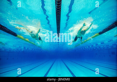 swimming competition in a pool Stock Photo