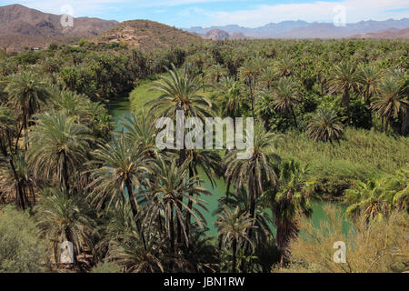 Overview from mission of huge date palm grove and river near Mulege, Baja California Sur, Mexico with mountains in distance. Stock Photo