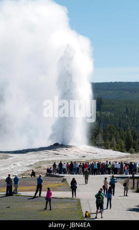 Vistors watch the Old faithful geyser erupt in Yellowstone national park, Wyoming, USA. Stock Photo