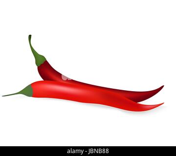 Hot chilli pepper on white background Stock Vector