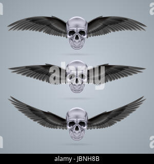 Three metal chrome skulls with two crow wings each. Stock Photo